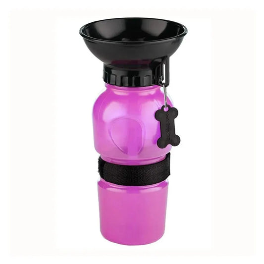 Arctic Aura™ PawHydrate Bottle