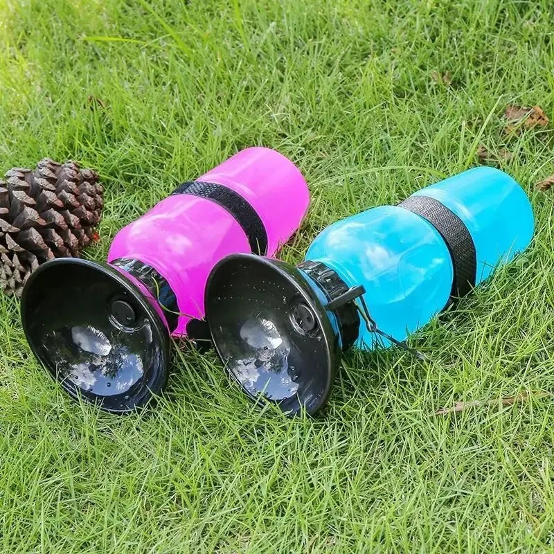 Arctic Aura™ PawHydrate Bottle
