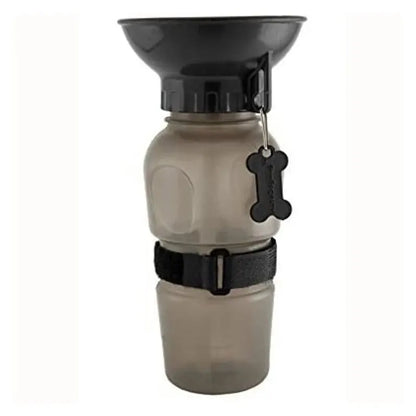 Arctic Aura™ PawHydrate Bottle