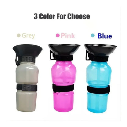 Arctic Aura™ PawHydrate Bottle